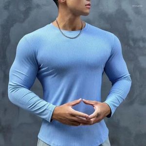 Erkek Tişörtleri Bahar Sonbahar Tasarım Versiyonu Uzun kollu T-Shirt Çok yönlü spor egzersiz kıyafetleri streç fit bot