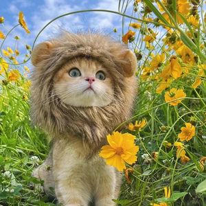 Cat Costumes Cute Wig Lion Mane Costume Cosplay Funny Pets Clothes Cap Kitten Hat With Ears Fancy Party Supplies Dog Halloween
