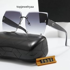 Gafas Gafas de sol Gafas de moda para hombres y mujeres Gafas de sol de doble puente para hombres Marca resistente a los arañazos Diseñador Gafas retro UV400 retro