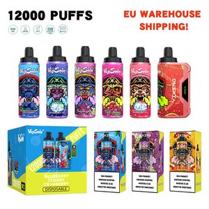 Vape Einweg-12000-Puff-Gerät Vapsolo Viking EU-Lagerversand Fünfzehn Geschmacksrichtungen mit Aufladeluftstrom-Einstellbildschirm Alle Good Taste Puff Bar