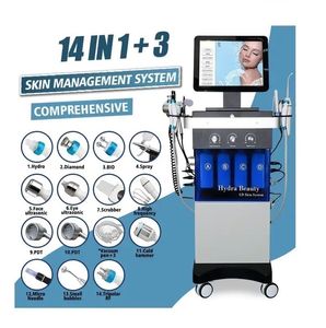 Dermoabrasão 14 em 1 Máquina de beleza Hydra Limpando Aqua Peeling Ultrasound Hydra Machine