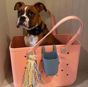 Fashion Bogg Bag Luxury Organizer PVC Plastic Waterproof Basket Beach Påsar Kvinnor Tote Handväskor Crossbody Väskor Designer Koppling Stor lagring