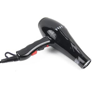 Ds Dryers AC Motor Blow Real Power 2200W Professional Hair Dryer Hot and Cold Wind Hairdryer Styling Tools for Salon Equipment