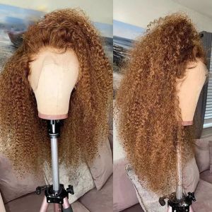 Darkmongolian Hair Brown 13x4 Kinky Curly Spets Front Wig Afro Curly spets peruk för svarta kvinnor förhandsvisad med babyhår Glueless