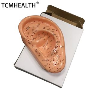 13CM Ear Hand Foot acupuncture Practice Model Training human model easy handle for traditional Chinese medicine school Clinic Teaching Model with User Manual