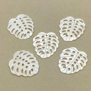 Pärlor Ny ankomst! 30st Natural Shell Pendants Leaf Shape Charm för handgjorda halsband/örhängen DIY -delar, smycken Fyndkomponenter