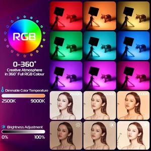 1pc WL-R2 RGB Video Light, Portable LED Camera Light, Panel 0-360 Full Color, CRI 95+ 2500-9000K LED Video Light, 2000mAh Rechargeable LED DSLR Lighting