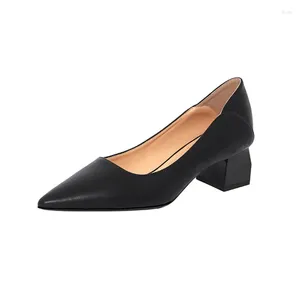 Dress Shoes 2024 Spring Pointed Small Size 31-43 High Heels Women Block Heel Black Beige Ladies