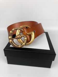 Cintura stilista cintura da uomo cinture di lusso per uomo cinture con fibbia serpente dorata per donna designer larghezza 3,8 cm