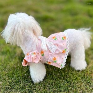 Cão vestuário pequeno traje gato vestido roupas rendas saia filhote de cachorro para chihuahua yorkie pomeranian poodle bichon roupas xs