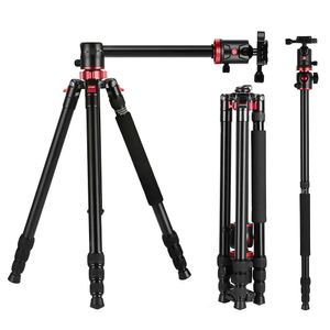 Monopods Zomei M8 Go Kamera Tripod Seyahat Kompakt Alüminyum Monopod Profesyonel Tripodlar Canon Nikon DSLR DV kamera için top kafalı