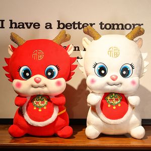 Wholesale New Anime Movie Stuffed Plush 2024 Year of the Dragon Mascot Toy Animal Doll Home Decoration Boys Girls Christmas Gift 20cm DHL