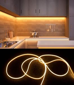 Dimmable Neon Sign 12V LED Strip Light SMD 2835 120ledsm rope tube tube tape touch touch dimmer for Home Christmas Holiday Decoration2363285