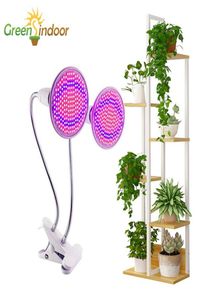 Inomhus LED Grow Light Plant -hyllor Lampa för blommor Phyto med skrivbordsklipp Fitolampy Fitolamp Lights Herbs Seed9025247