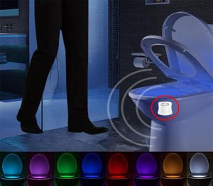 Lampa toaletowa Lampa LED Smart Bathroom Motur Human Aktywowany PIR 8 Kolory Automatyczne podświetlenie RGB do miski toaletowej Lights6998459