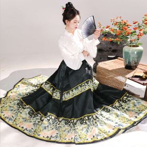 Neues Original-Partykleid mit Persönlichkeit, Ming-Dynastie-Pferdegesichtsrock, Hanfu-weibliches Han-Element im chinesischen Stil, täglicher Hundert-plissierter langer Rock 761