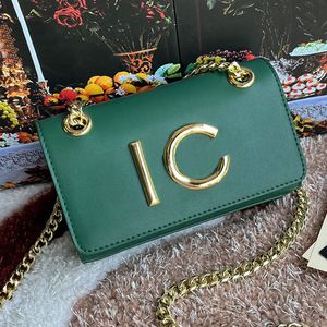 Designer-Tasche, Rindsleder-Umhängetasche, Hobos-Umhängetasche, modische Designer-Handtasche, hochwertige Handtaschen mit Hirschledermuster, Geldbörse, goldene Hardware-Ketten-Schultergurt