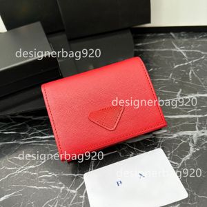 Designer-Geldbörse, Damen-Geldbörse, modische Crad-Sling-Geldbörsen, beste Marken für Taschen, Schlüsselanhänger-Geldbörse, neuestes Geldbörsen-Design mit Preis, Damen-Geldbörse