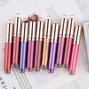 Läppglans kosmetisk grossist bulk privat etikett shimmer lipgloss flytande läppstift glitter metalliska glänsande sminkprodukter