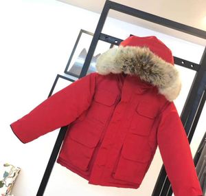 Winter Kids Down Coat Jacket Boy Girl Baby Ytterkläder Varma Greatcoat Jackets Hooded Sportwear Outdoor Classic Wrap 5 Colors 100151760568