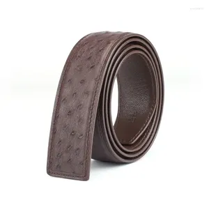 Belts Luxury Designer Authentic Real Ostrich Skin Businessmen Fancy Waist Strap Genuine True Leather Male