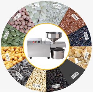 Automatisk Sesame Canola Sunflower Peanuts Walnuts Oil Extractor Electric Commercial Oil Press Machine