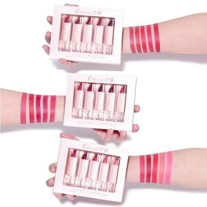 Zestawy 2023NEW SET LIGSTIC GLISS Mat Nilterproof Waterproof Fog Face Lip Matte Makeup Beauty Lazy Lapstick Pięć kolorów