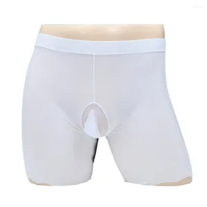 Cuecas Mens Ice Silk Boxer Briefs Seamless Underwear Gay Male Ball Bolsa Confortável Sissy Soft Panties