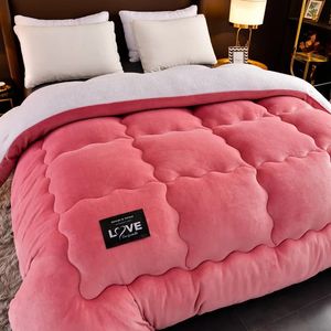 Super Warm Lamb Wool Quilt Winter Thickened Cotton Quilt Warm Cotton Double sided Velvet Soft Large Blanket 240113