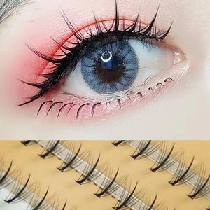 Falska ögonfransar 48/120 kluster Fishtail Natural Grafted Professional Eyelash Extension Makeup A-Type Fairy Lashes