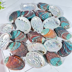 Concha de abalone natural, grandes conchas do mar, decoração náutica para casa, saboneteira, tanque de peixes, aquário, paisagem, decoração de casamento