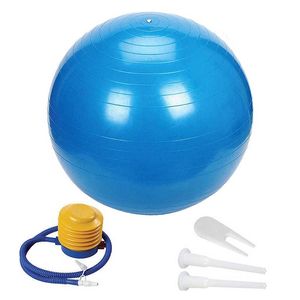 Sports Yoga Balls Balance Bola Pilates Fitness Ball with Pump AntiBurst AntiSlip Gym Exercise Workout Body Building Massage y240112