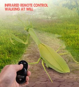 Infrared Remote Control Realistic Mini Mantis RC Insect Scary Trick Toy Simulation Animal Funny Prank Kids Children Toy Gift Y20037239222