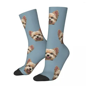 Meias masculinas espreitando yorkshire terrier feminino poliéster engraçado cão harajuku primavera verão outono inverno meias presente