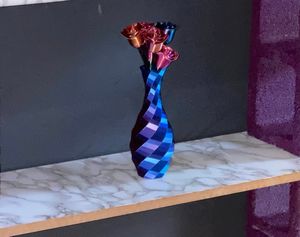Vaso que muda de cor, Vaso multicolorido; Cada lado tem uma variação diferente de cores; Vaso decorativo