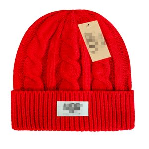 Ny Beanie Designer Luxury Unisex Sticked Hat North Knit Hatts 9 Färger Klassisk sportskalle Caps Män kvinnor Casual Outdoor Beanie U-2