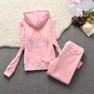 Designer de roupas femininas moda duas peças conjunto primavera/outono suculento corture agasalho com capuz jaqueta e calças terno jogging terno para mulheres com capuz senhoras fatos de treino NYAX