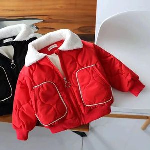 Down Coat Boys' Brushed Jacket Padded Winter Clothes Children's Baby Toddler Thermal Cotton-Padded