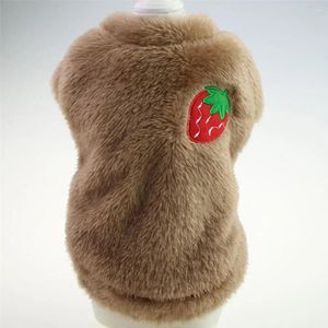 Abbigliamento per cani Maglione Tessuto ricamato a fragola Costume per animali domestici O-Collo Peluche Piccolo pullover medio Vestiti a due gambe per la stagione fredda