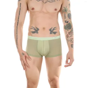 Underbyxor mäns ultratunna boxarehorts underkläder mesh transparent underkläder is siden trosor homme boxer shorts se igenom