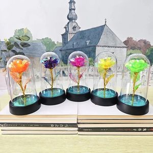 Valentines Day Gift for Girlfriend Eternal Rose LED Light Foil Flower In Glass Cover Mothers Wedding favors Bridesmaid 240113