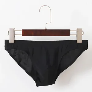 Cuecas sexy homens roupa interior sissy briefs transparente homem gay deslizamento respirável sedoso de secagem rápida u-convexo bolsa underpant tanga