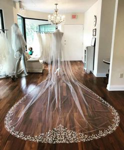 2019 Designed Wedding Veils Real Images Cathedral Length Full Lace Edge Blusher Face Appliqued 3m Long White Ivory Bridal Veils Cu4107599