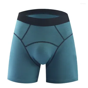 Underbyxor plus storlek sexig underkläder herrboxare shorts fitness modal trosor man solid andningsbar u bulge påse långben cueca