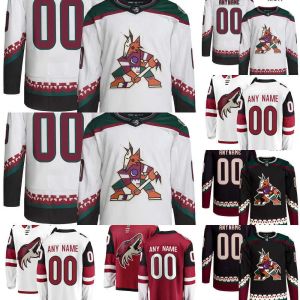 Maglie da uomo da uomo personalizzato da uomo Arizona Hockey Coyotes 70 Karel Vejmelka 14 Shayne Gostisbehere 12 Nick Ritchie 17 Nick Bjugstad 19 Troy Terry 90 J.J. Moser 9 Clayt 64