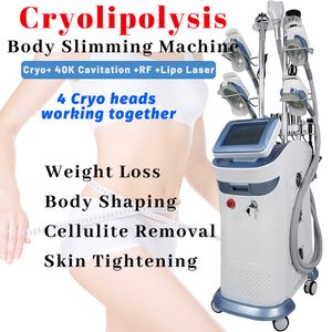 Cryoterapy Body Slant Machine Cryolipolysis Fat Freezing Multifunktionell utrustning Lipo Laser Diode Skin Massager