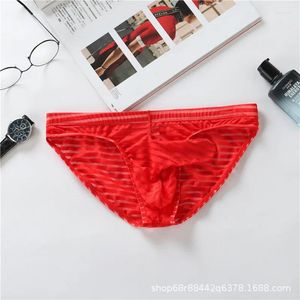 Underpants Youth Striped Mesh Briefs Men Elaphant Nose Gays Ultra-thin Trunks Breathable Fully Transparent Lace Panties Boys Fashion