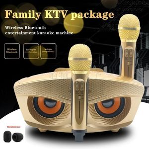 Lautsprecher SD306 Owl Sound 2-in-1 tragbarer kabelloser Karaoke-Bluetooth-Lautsprecher mit zwei Mikrofonen, 30 W, leistungsstarke Outdoor-KTV-Ausrüstung