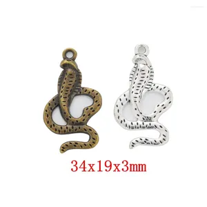 Charms 60st Snake Craft Supplies Hängen för DIY -hantverksmycken Fynd som gör tillbehör 570