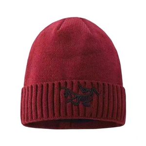 2024 novo chapéu de malha moda boné popular quente à prova de vento estiramento gorro de alta qualidade P-17